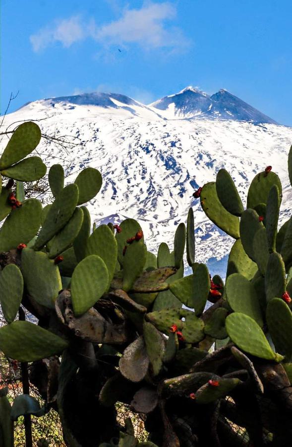 شقة La Pigna Dell'Etna نيكولوسي المظهر الخارجي الصورة